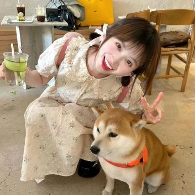 蒙查查王老五