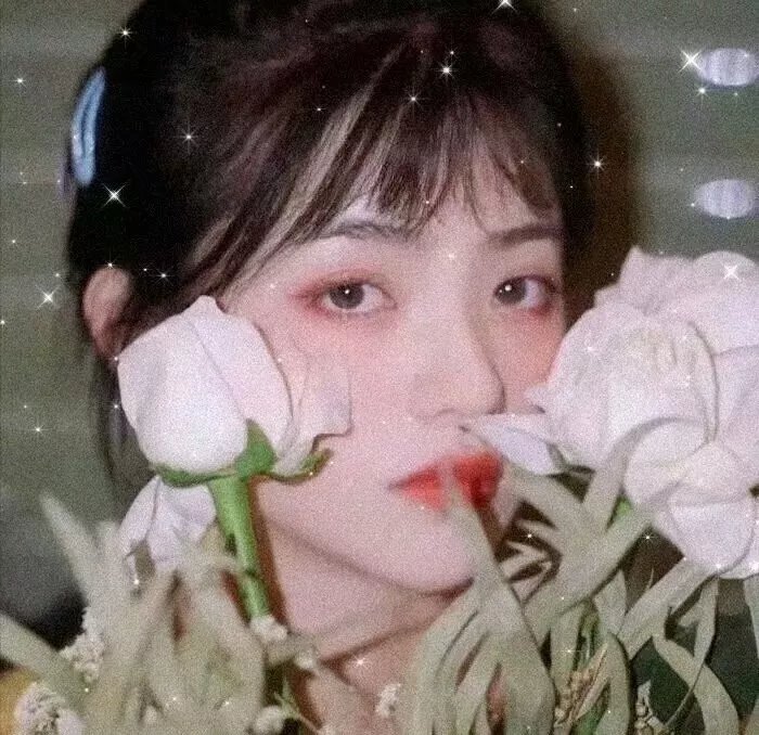 齐格菲歌舞团