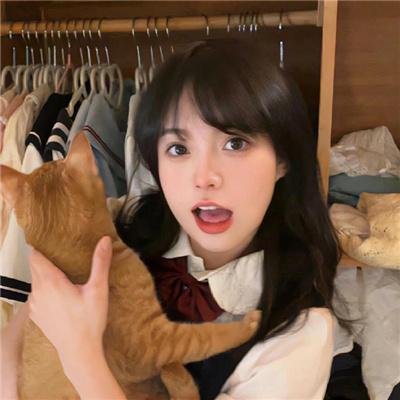 迷失真相